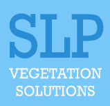 Tree Surgeons in Maidstone, Kent